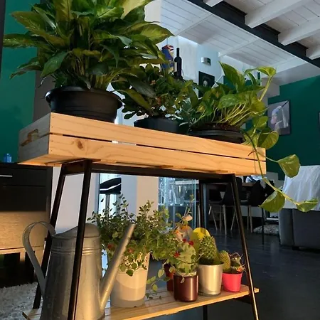 Dimora Stella Boutique Apartment *